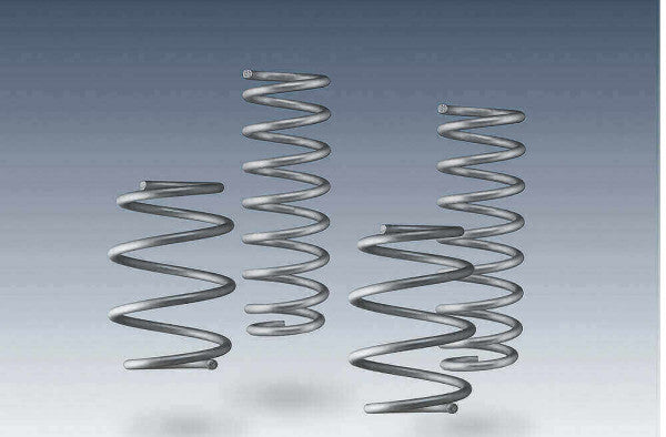 AC Schnitzer suspension spring kit for BMW 3 series F34 GT (3130231310)