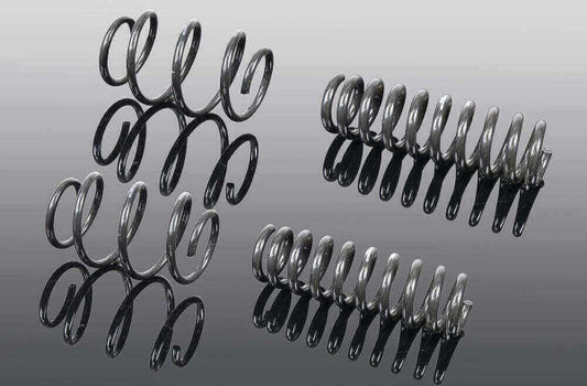 AC Schnitzer suspension spring kit for BMW 8 series G16 Gran Coupe (3130316510)