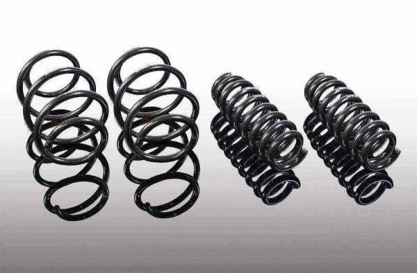 AC Schnitzer suspension spring kit for BMW 4 series G23 convertible (3130321310)