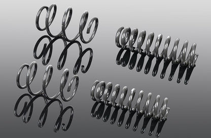 AC Schnitzer suspension spring kit for BMW 5 Series G30/G31 LCI
