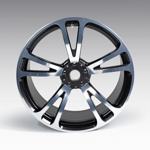 AC Schnitzer Wheel 10.0 X 21 ac3 Evo Silver-Anthracite Offset 22 For BMW M8 F93 (361129.05227)
