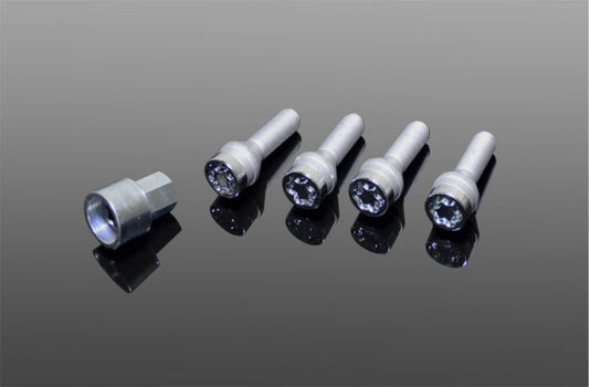 AC Schnitzer wheel locking set for BMW (361310720)